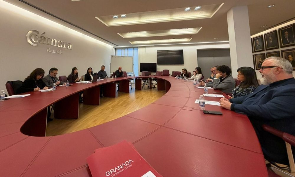 Corporate boardroom meeting with business professionals seated around a large oval wooden table at the Chamber of Commerce of Granada for a strategic tourism briefing.