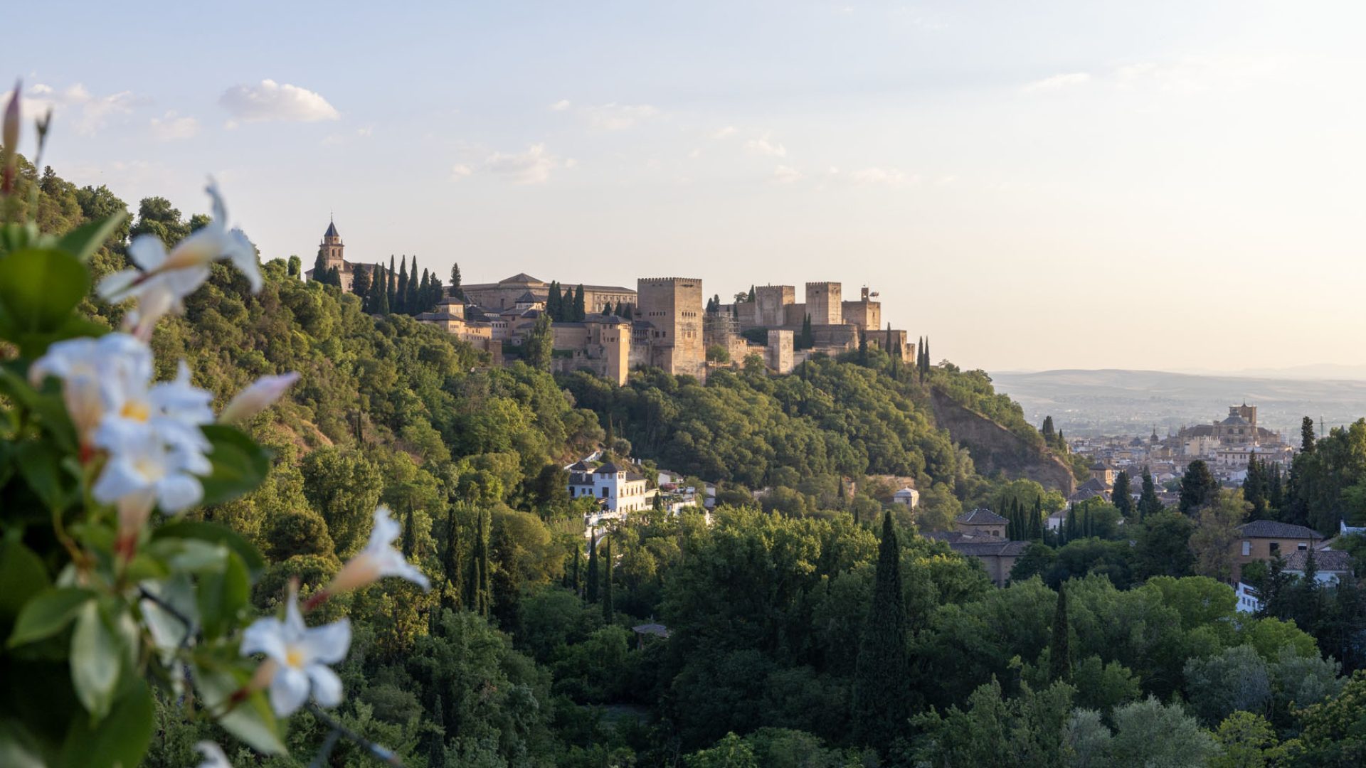 Stunning panoramic overview of the historic Alhambra fortress complex nestled on the hilltop during a clear golden hour sunset in Granada.