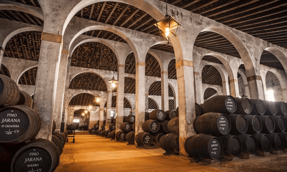 Interior de una bodega tradicional con hileras de barriles de madera bajo un techo de vigas oscuras y arcos de ladrillo.